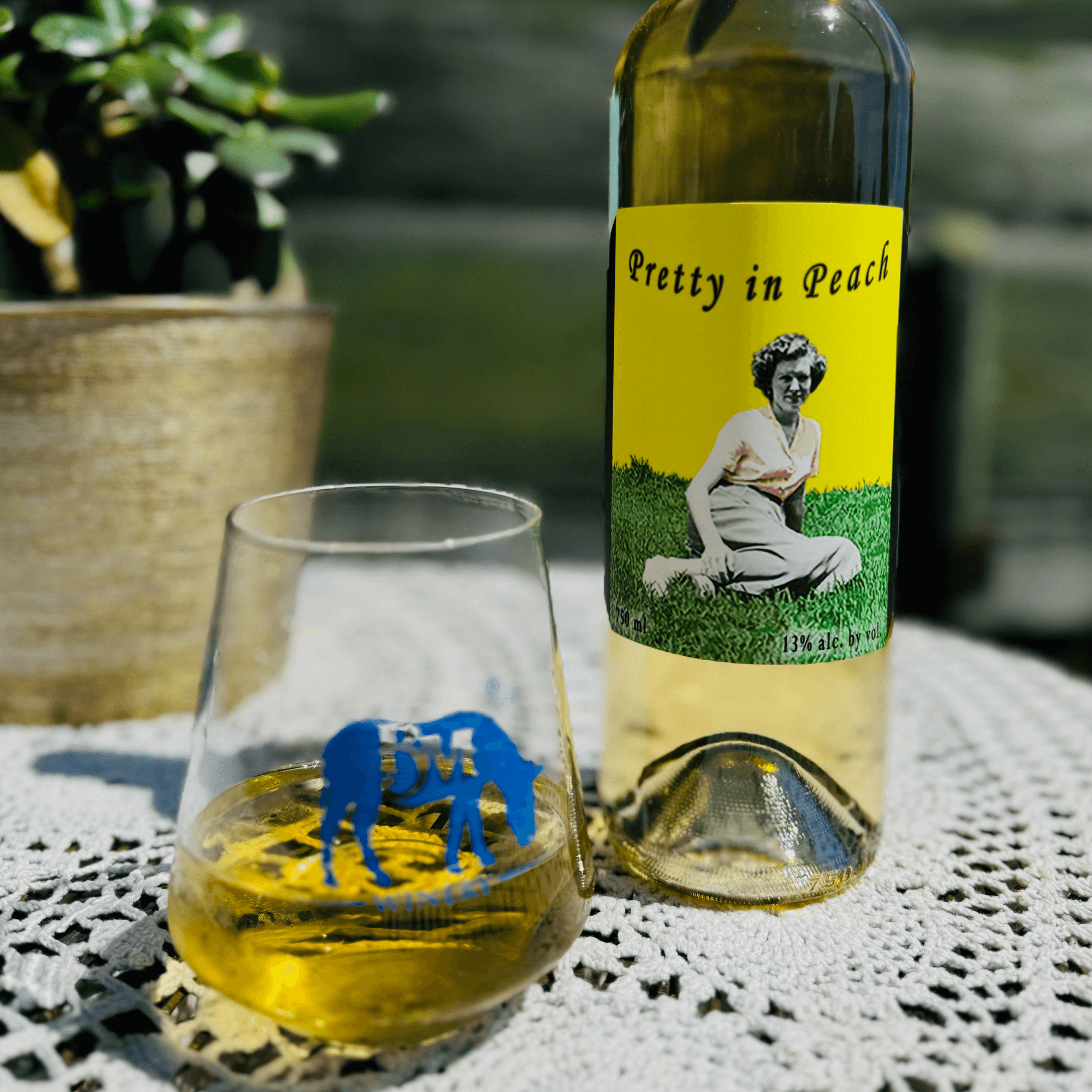 Discover Award-Winning Wines from Blue Mule Winery | Blue Mule Winery